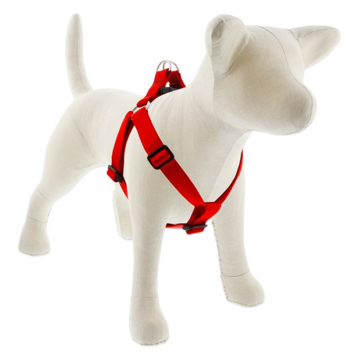 Large Dog Basics Step In Harness 1″ — red / 24″-38″