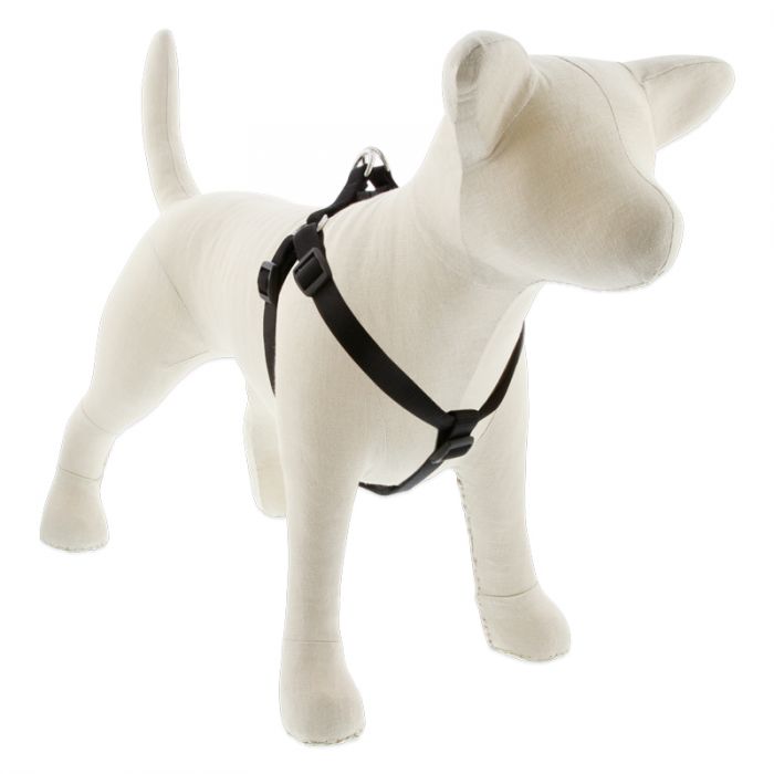Medium Dog Basics Step In Harness 3/4Inch