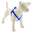 Medium Dog Basics Step In Harness 3/4Inch