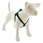 Medium Dog Basics Step In Harness 3/4Inch