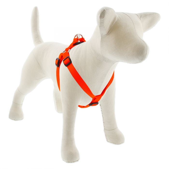 Medium Dog Basics Step In Harness 3/4Inch