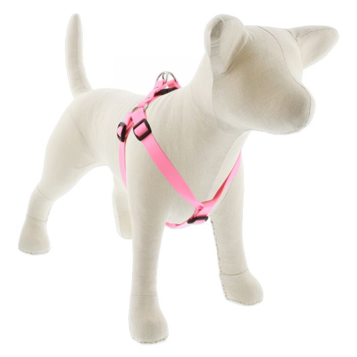 Medium Dog Basics Step In Harness 3/4Inch