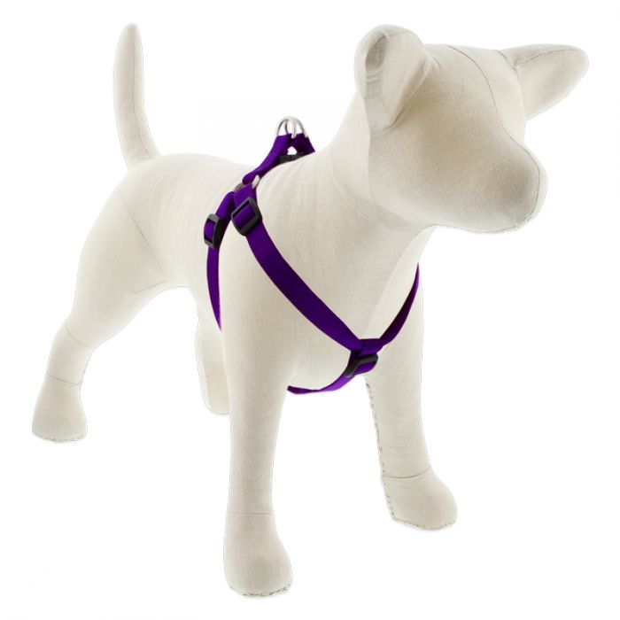 Medium Dog Basics Step In Harness 3/4Inch