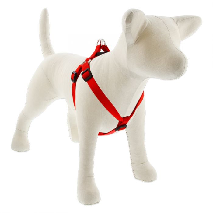 Medium Dog Basics Step In Harness 3/4Inch