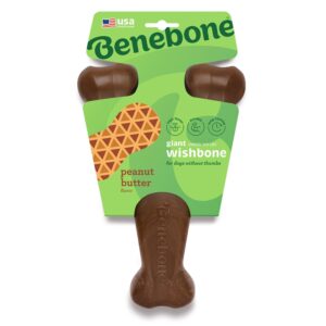 Benebone Wishbone Dog Chew Toy – Bacon
