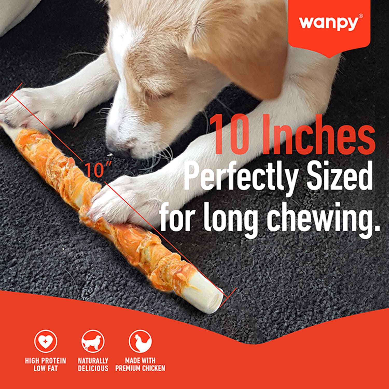 Wanpy Chewy 10″ Chicken & Puff Sticks Twists 70g