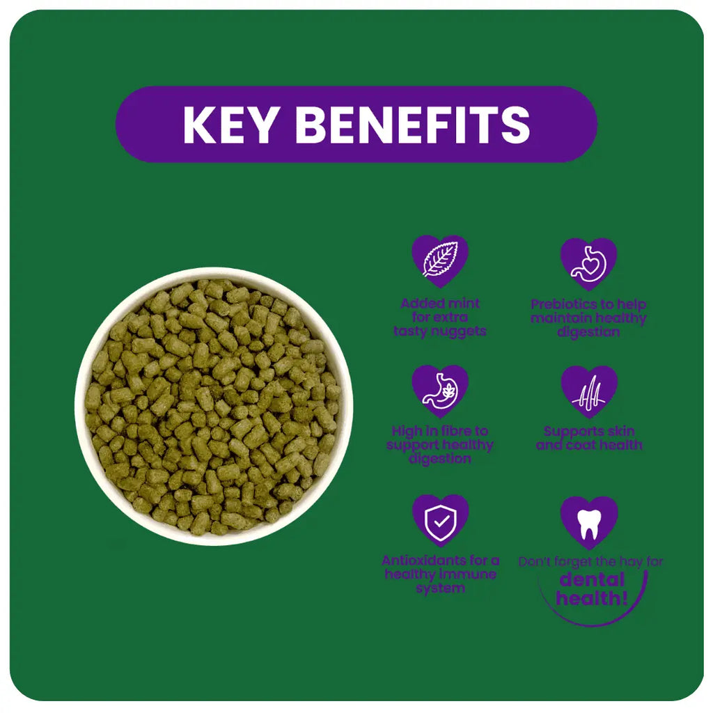 Burgess Excel Nuggets for Adult Chinchilla - 1.5KG