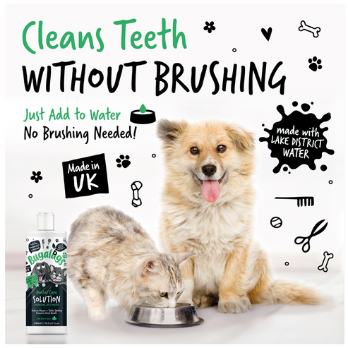 Bugalugs Dental Care Water Additive  for Dogs & Cats - 490ML