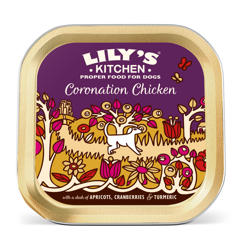 Lily's Kitchen Coronation Chicken Wet Dog Food 150G Pack of 10 – product pack