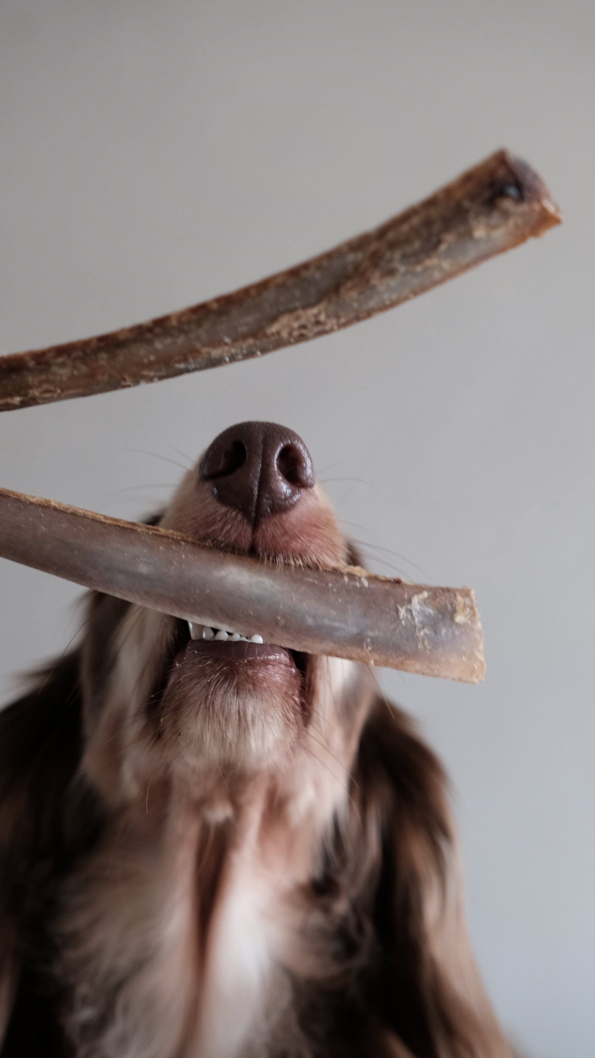 Boneve Air-Dried Free-Range Grass-Fed Venison Ribs Dog Treat - 200G