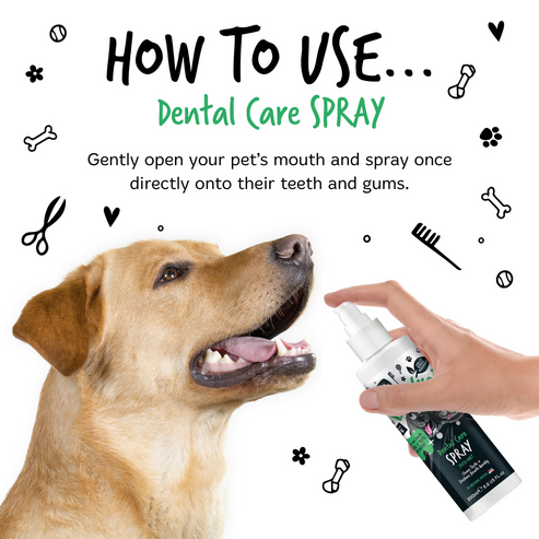 Bugalugs Dental Care Spray for Dogs & Cats - 200ML