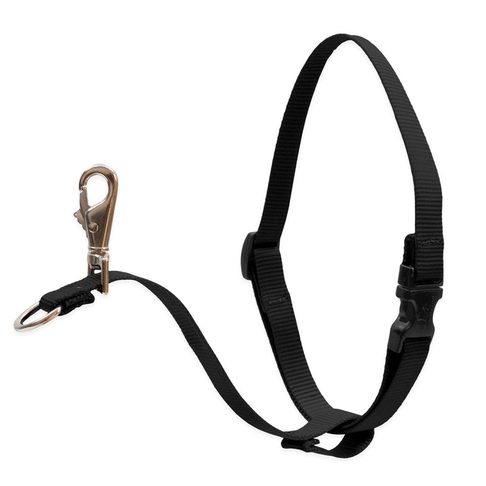 Dog Basic Solids No Pull Harness — black / 3/4" width - 16" -26"