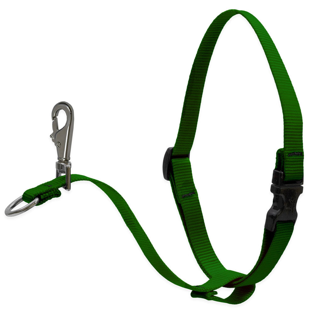 Dog Basic Solids No Pull Harness — green / 1" width - 26" -38"