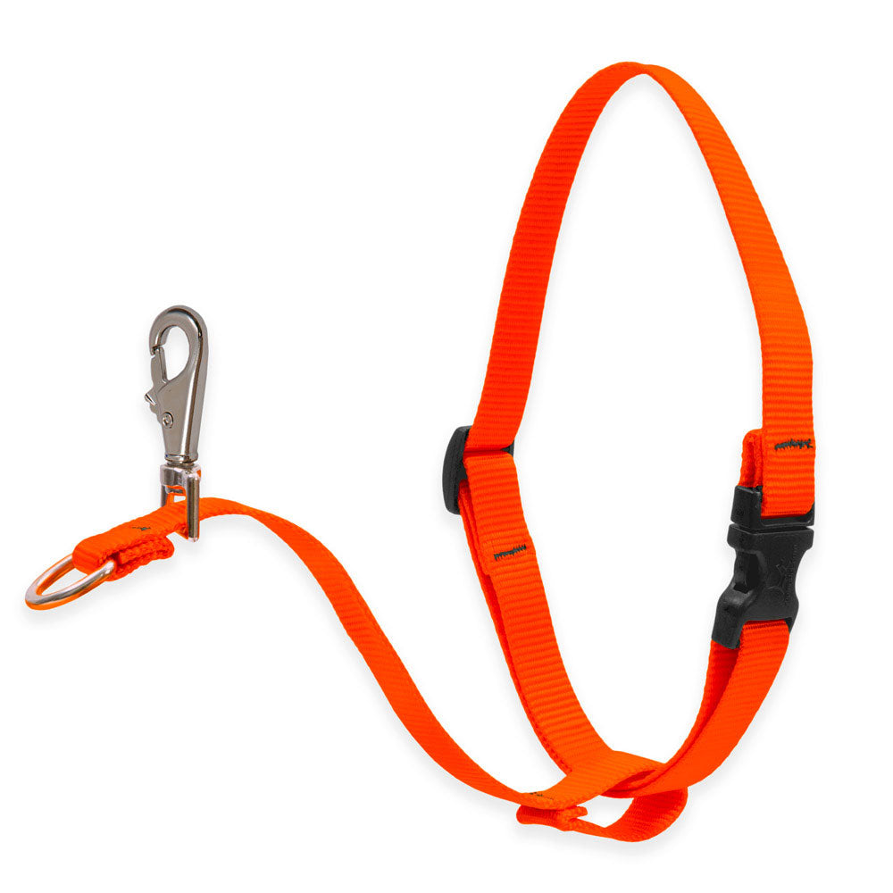 Dog Basic Solids No Pull Harness