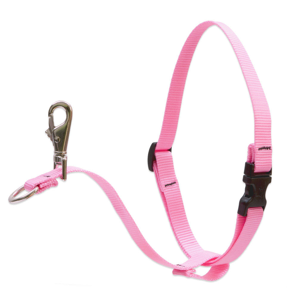 Dog Basic Solids No Pull Harness — pink / 1" width - 26" -38"
