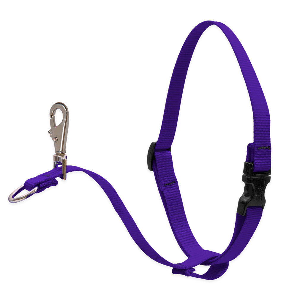 Dog Basic Solids No Pull Harness — purple / 1" width - 26" -38"