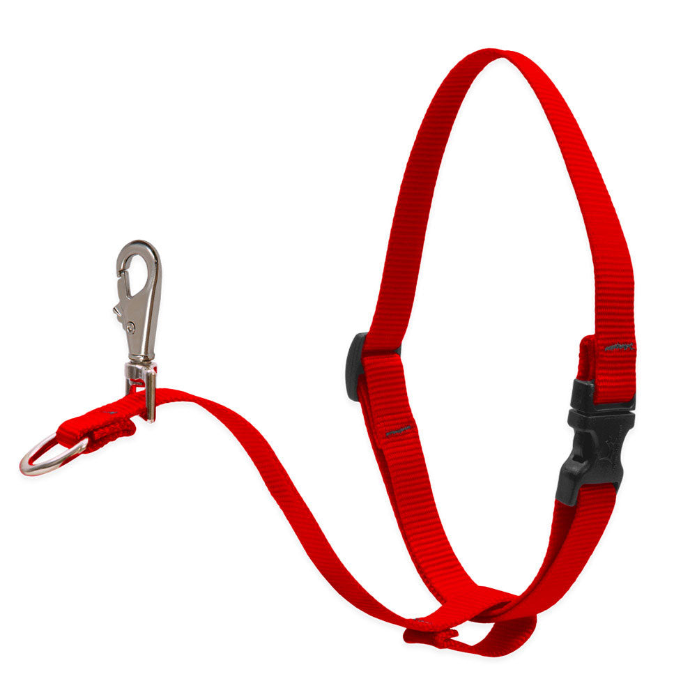 Dog Basic Solids No Pull Harness