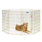 MidWest Foldable Exercise Pen With Door  Gold Zinc