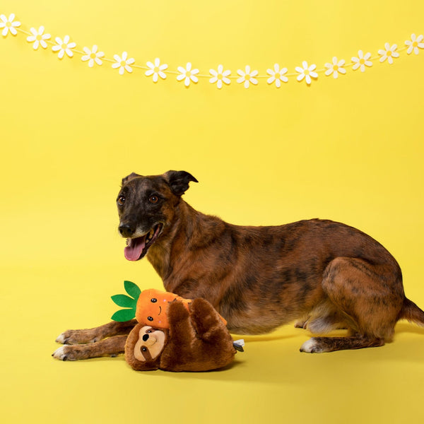 Petshop by Fringe Studio Easter Sloth On A Carrot - Cuddly Plush Dog Toy 25x20cm