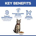 Hill’s Science Plan Adult Cat Food With Salmon (3kg)