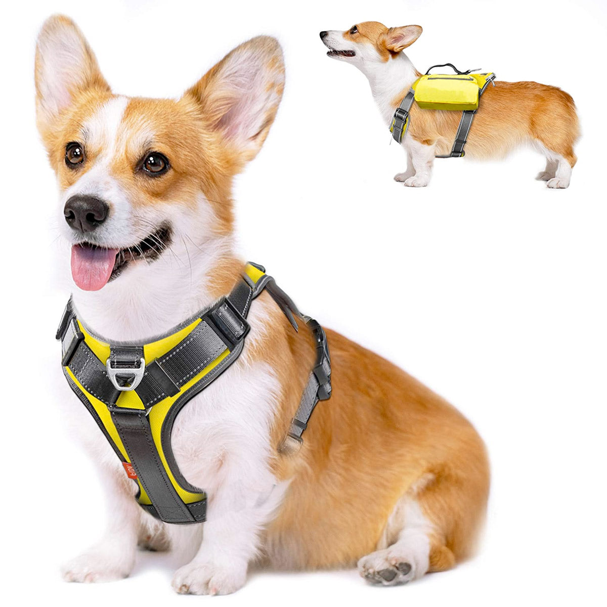 Fida Dog Harness – Yellow