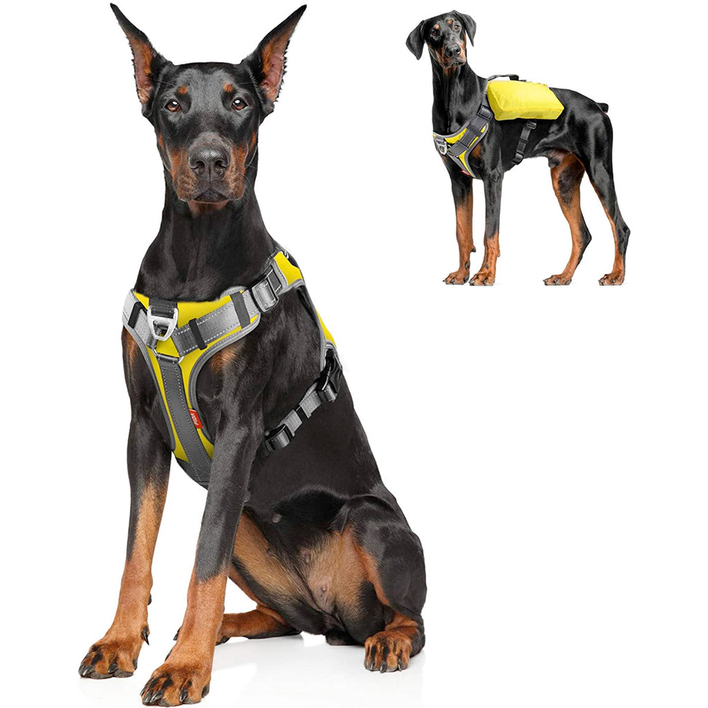 Fida Dog Harness – Yellow