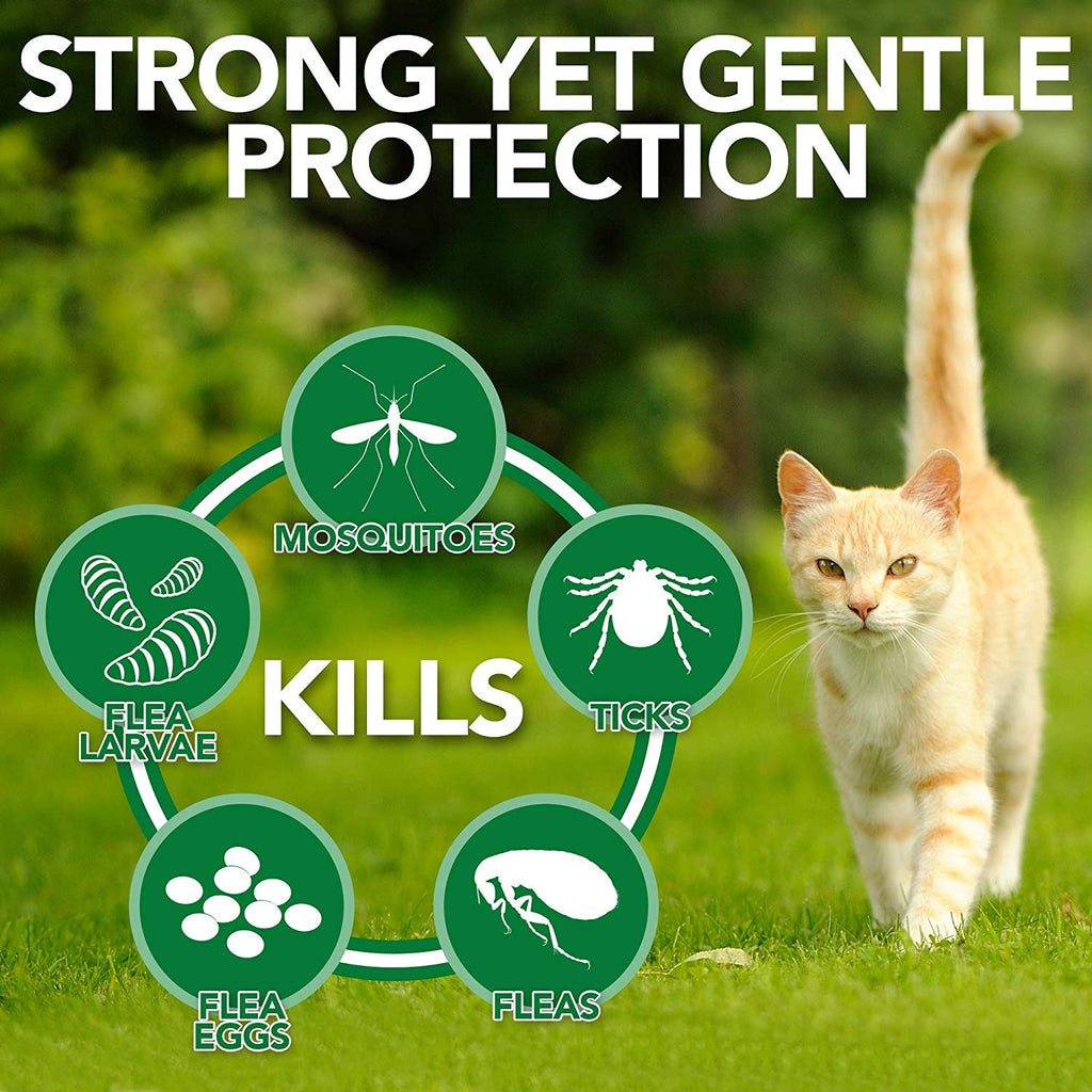 Natural Flea and Tick Home Spray for CATS, 32 oz