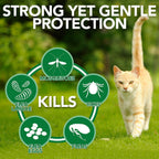 Natural Flea and Tick Home Spray for CATS, 32 oz