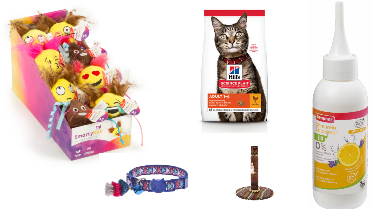Cat Essentials Bundle