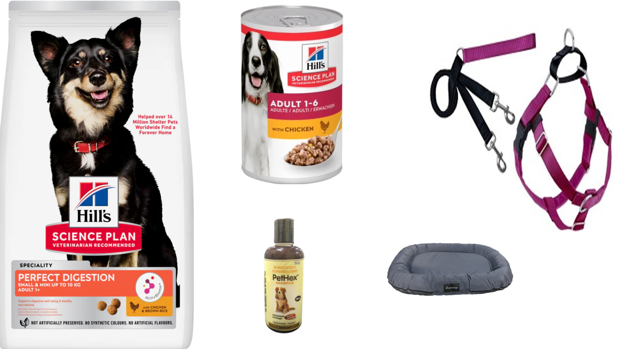 Dog Essentials Bundle