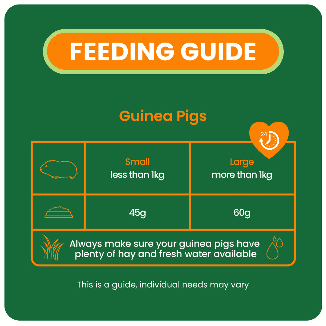 Burgess Excel Nuggets with Mint for Adult Guinea Pig - 3KG