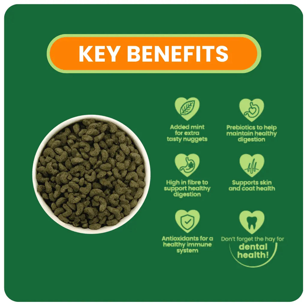 Burgess Excel Nuggets with Mint for Adult Guinea Pig - 3KG