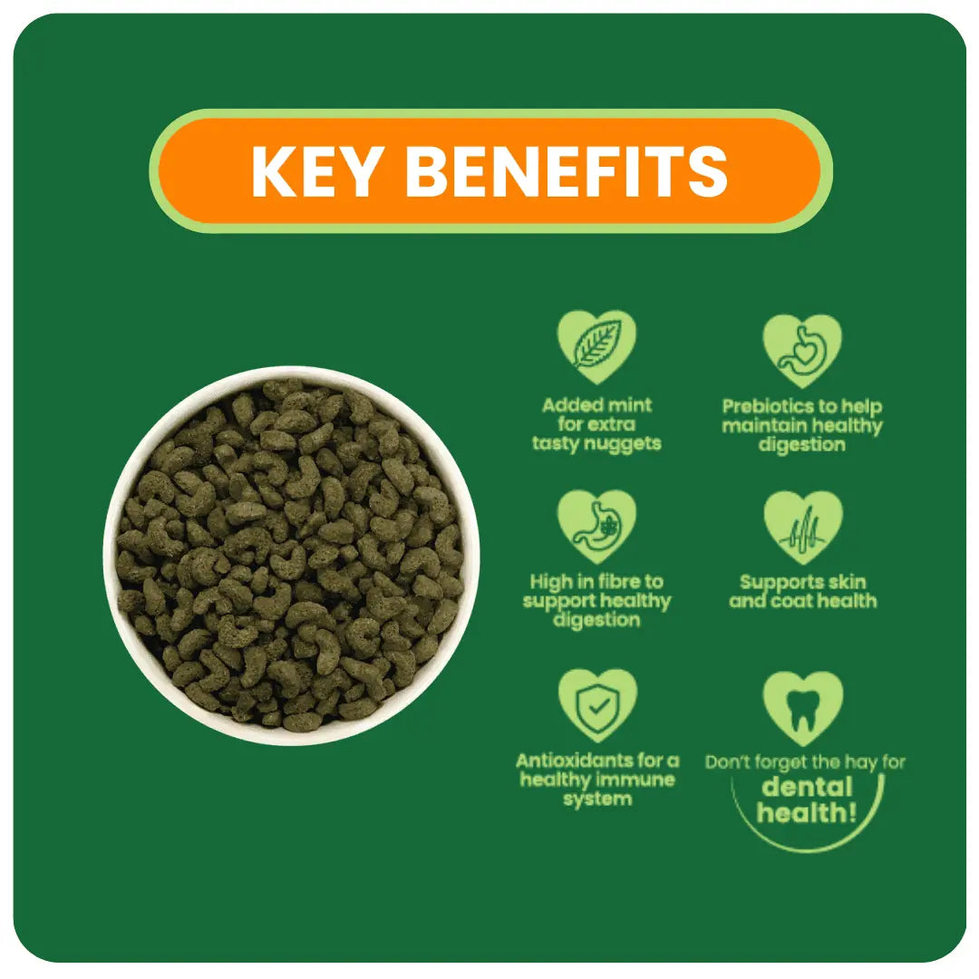 Burgess Excel Nuggets with Mint for Adult Guinea Pig - 3KG