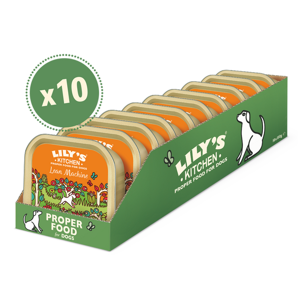 Lily's Kitchen Lean Machine Wet Dog Food Pack of 10