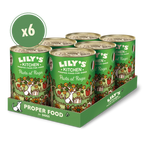 Lily's Kitchen Dog Pasta Al Ragu Wet Dog Food 400G Pack of 6