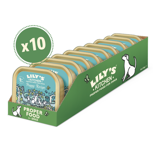 Lily's Kitchen Turkey & Duck Recipe Puppy Wet Food 150G Pack of 12