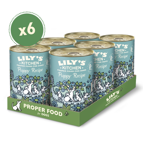 Lily's Kitchen Turkey & Duck Recipe Puppy Wet Food 400G Pack of 6