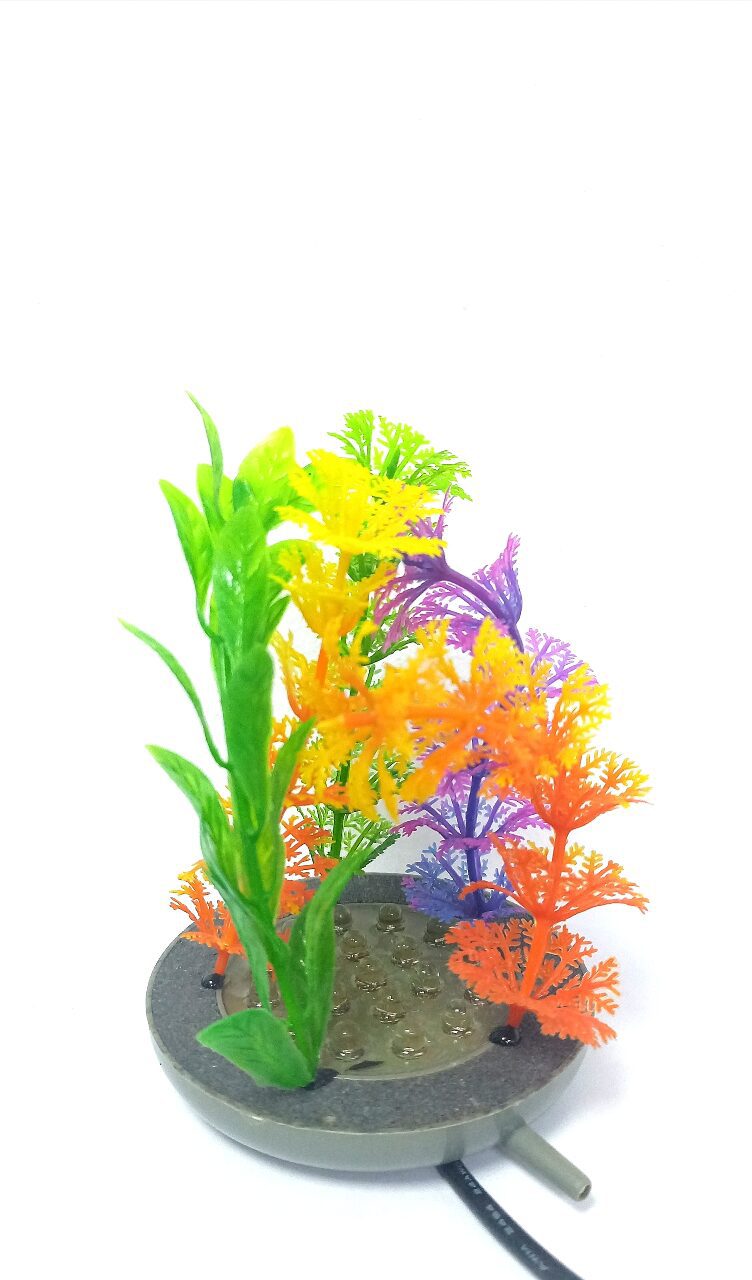Aquarium Air Stone With Plant, Size 80Mm*13Mm