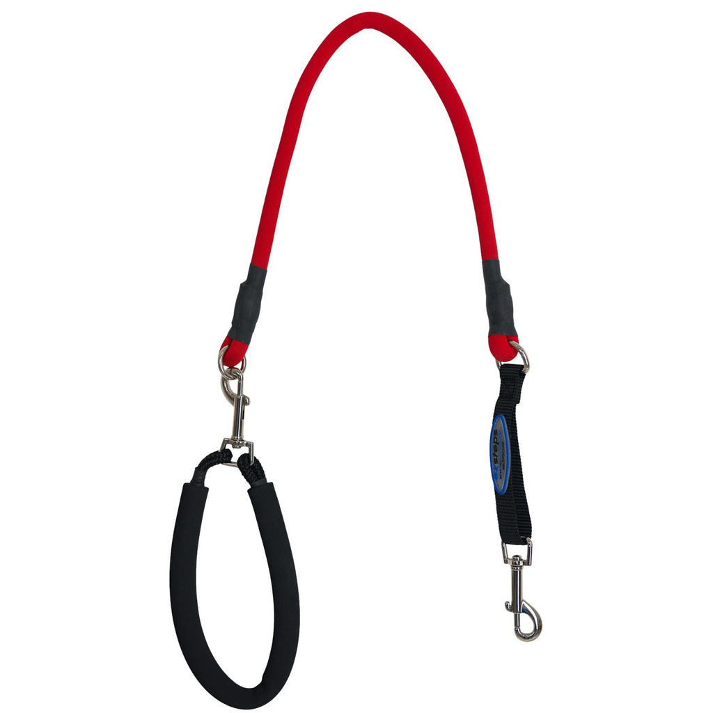 Ez Step Stretch Leash Medium