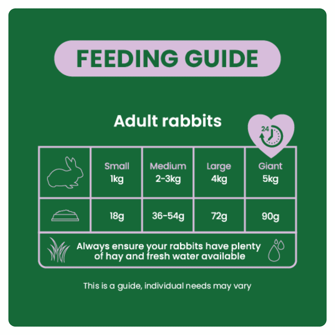 Burgess Excel Light Nuggets for Overweight Adult Rabbit - 1.5KG