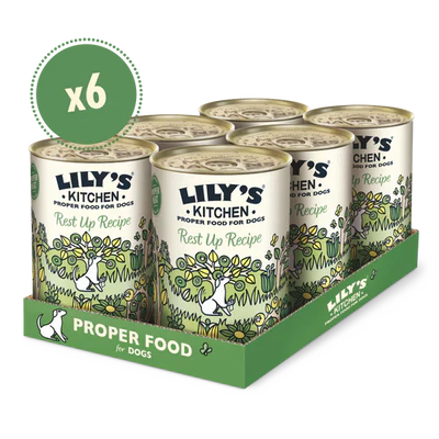Lily's Kitchen Recovery Recipe Wet Dog Food 400G Pack of 6