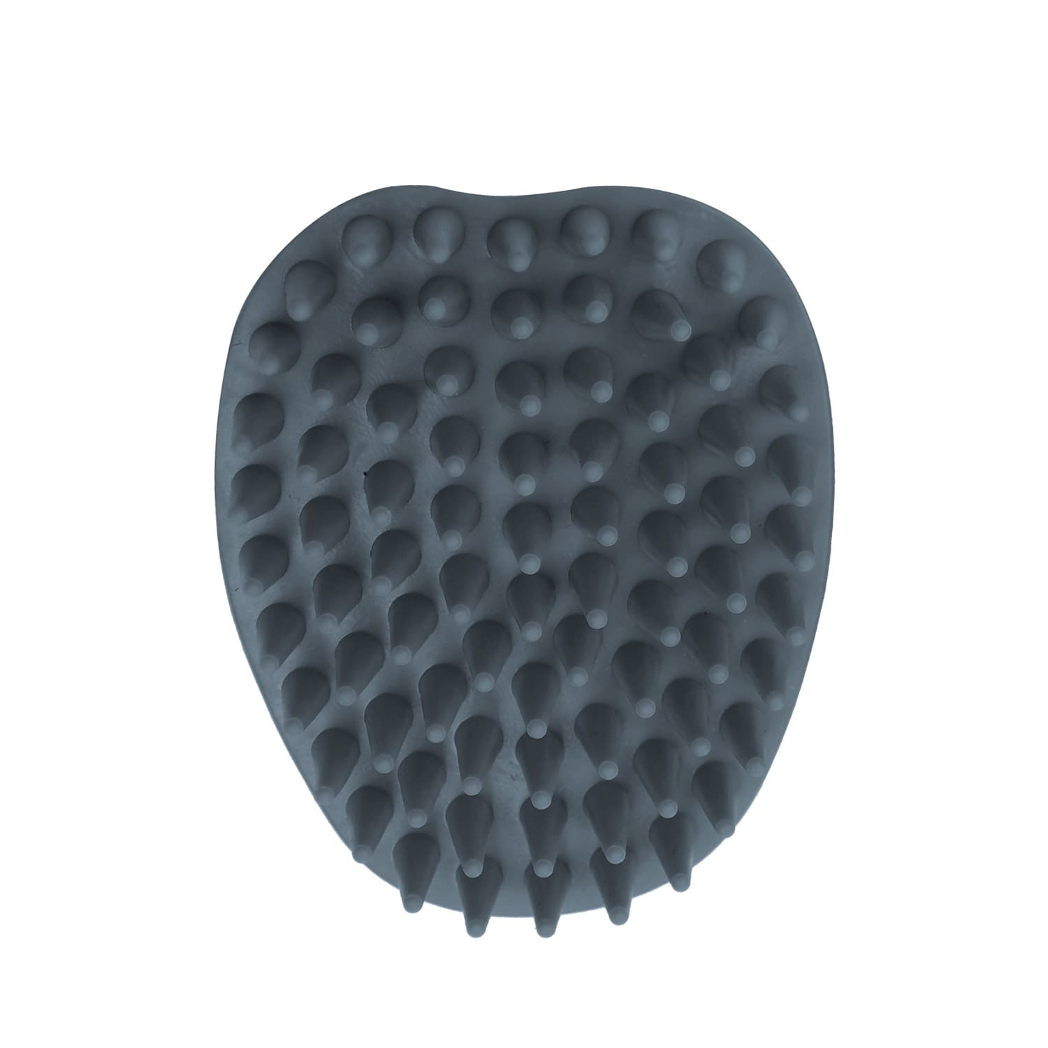 Long Tapered Bristled Brush for Dogs and Cats