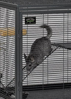 Critter Nation (Small Animal Habitat for Rats,Ferrets)