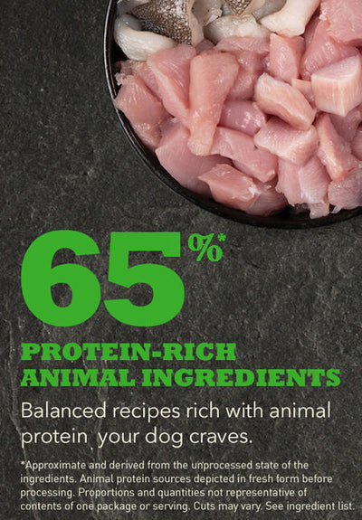 Acana Senior Recipe Dry Dog Food