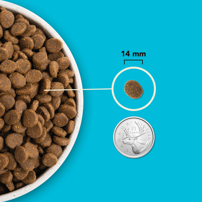 Acana Highest Protein Pacifica Recipe Dry Dog Food