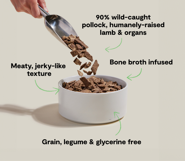 Open Farm Air Dried Alaskan Pollock & Lamb Recipe Dry Dog Food