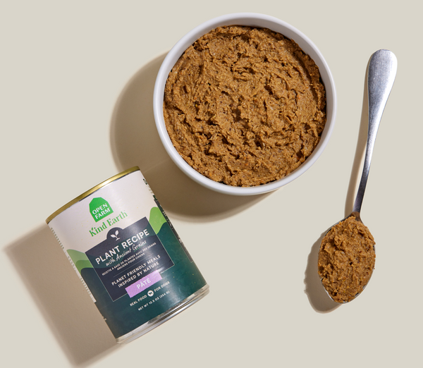 Open Farm Kind Earth Plant-Based Recipe Wet Dog Food -  354G