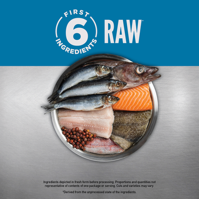 Orijen Six Fish Formula Protein-Rich Grain Free Diet Cat Dry Food