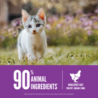 Orijen Kitten Formula - Brain & Muscle Development Cat Dry Food