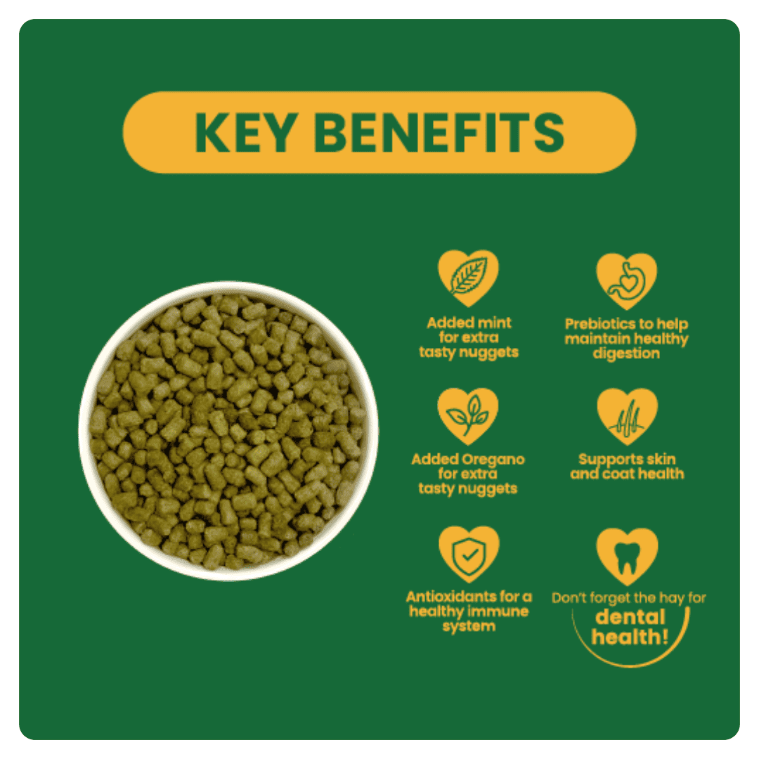 Burgess Excel Nuggets with Oregano for Adult Rabbit - 1.5KG